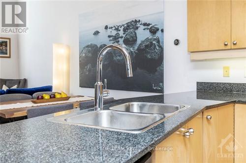 109 - 29 Main Street, Ottawa, ON - Indoor Photo Showing Kitchen With Double Sink