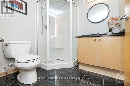 109 - 29 Main Street, Ottawa, ON - Indoor Photo Showing Bathroom