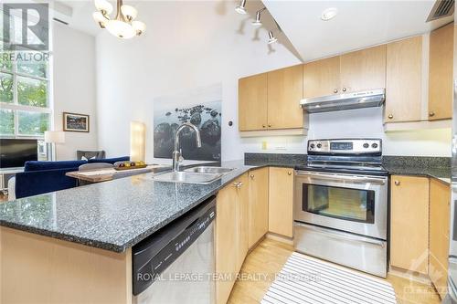 109 - 29 Main Street, Ottawa, ON - Indoor Photo Showing Kitchen With Double Sink