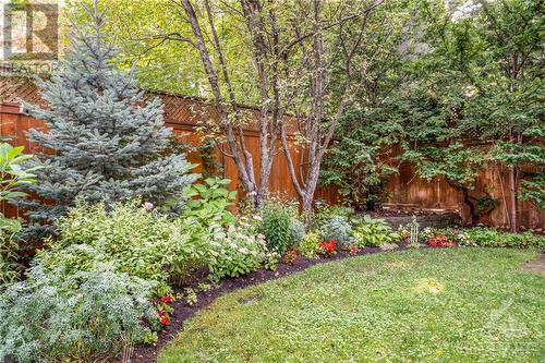 8 Lakeside Avenue, Ottawa, ON - Outdoor