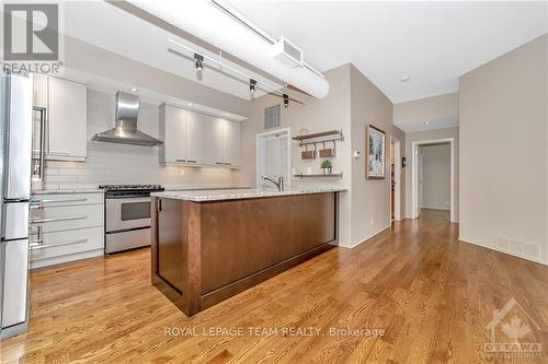 3B - 144 Clarence Street, Ottawa, ON - Indoor Photo Showing Kitchen With Stainless Steel Kitchen With Upgraded Kitchen