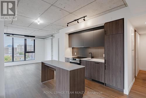 505 - 10 James Street, Ottawa, ON - Indoor Photo Showing Kitchen