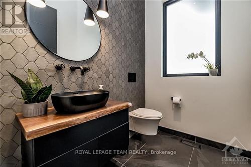 317 Hedley Way, Ottawa, ON - Indoor Photo Showing Bathroom