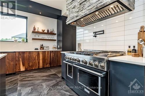 317 Hedley Way, Ottawa, ON - Indoor Photo Showing Kitchen With Upgraded Kitchen