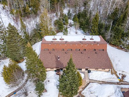 Overall view - 100 Rue Desjardins, Sainte-Agathe-Des-Monts, QC - Outdoor With View