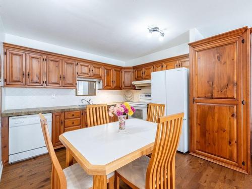 Kitchen - 100 Rue Desjardins, Sainte-Agathe-Des-Monts, QC - Indoor Photo Showing Kitchen