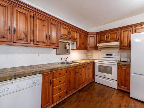 Kitchen - 100 Rue Desjardins, Sainte-Agathe-Des-Monts, QC - Indoor Photo Showing Kitchen With Double Sink