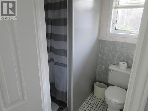 4 Twomey Drive, Botwood, NL - Indoor Photo Showing Bathroom