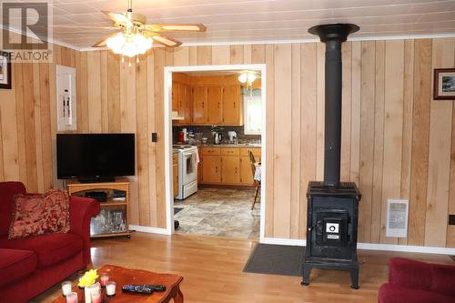 1044 Main Road, Lochleven, NL - Indoor Photo Showing Living Room With Fireplace