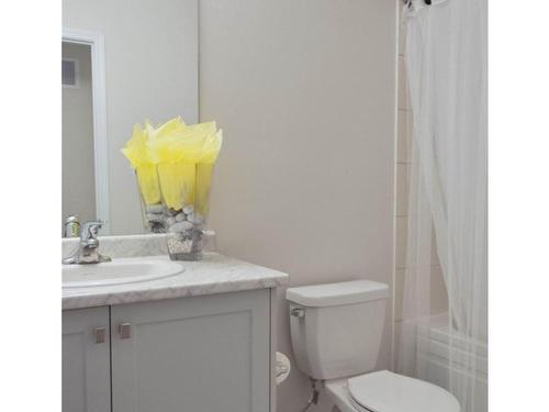 21-8317 Mulberry Dr, Niagara Falls, ON - Indoor Photo Showing Bathroom