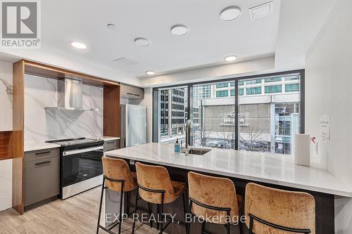 1011 - 340 Queen Street, Ottawa, ON - Indoor Photo Showing Kitchen With Upgraded Kitchen