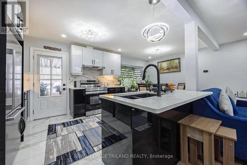 1534 Perth Avenue, London, ON - Indoor Photo Showing Kitchen With Double Sink With Upgraded Kitchen