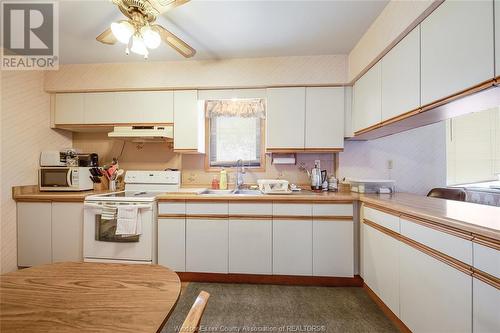 903 Grand Marais Road East, Windsor, ON - Indoor Photo Showing Kitchen With Double Sink