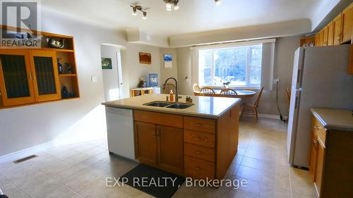 43 Gyles Point Road, Parry Sound, Unorganized District, ON - Indoor Photo Showing Kitchen With Double Sink