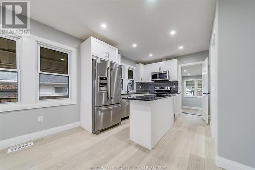 2533 Turner, Windsor, ON - Indoor Photo Showing Kitchen