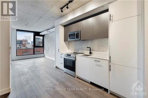 403 - 10 James Street, Ottawa, ON - Indoor Photo Showing Kitchen