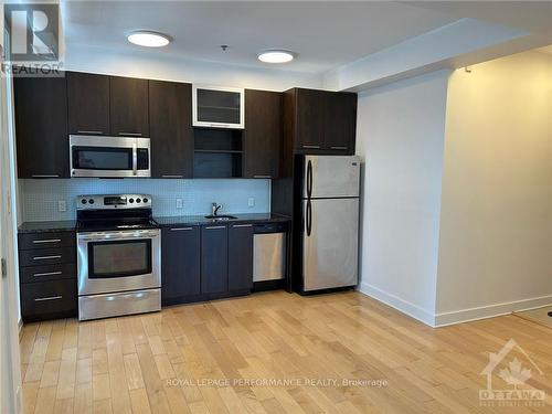 301 - 360 Cumberland Street, Ottawa, ON - Indoor Photo Showing Kitchen