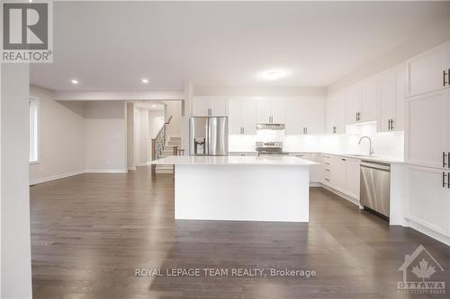 367 Peninsula Road, Ottawa, ON - Indoor Photo Showing Kitchen With Upgraded Kitchen