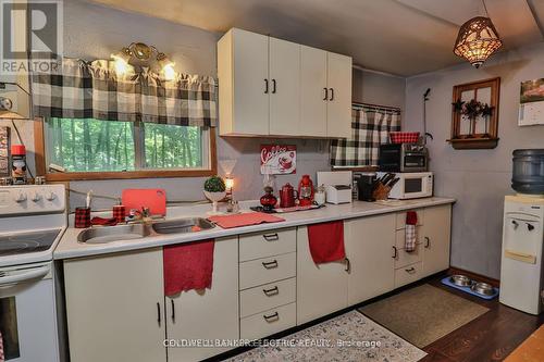 22 Cedar Bay Drive N, Curve Lake First Nation 35 (Curve Lake First Nation), ON - Indoor Photo Showing Kitchen With Double Sink