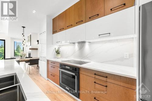 101 Wurtemburg Street, Ottawa, ON - Indoor Photo Showing Kitchen With Upgraded Kitchen