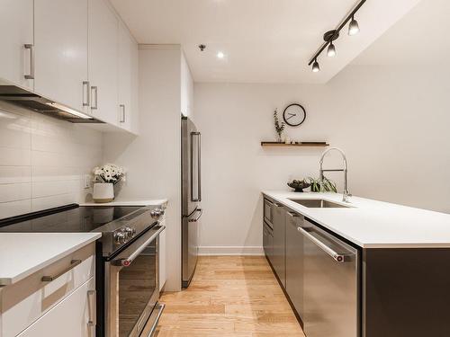 Kitchen - 101-315 Rue Richmond, Montréal (Le Sud-Ouest), QC - Indoor Photo Showing Kitchen With Upgraded Kitchen