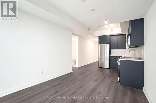 1013 - 225 Malta Avenue, Brampton, ON - Indoor Photo Showing Kitchen With Stainless Steel Kitchen