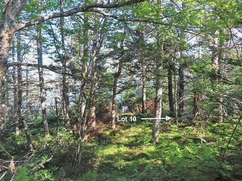 Lot 10 Hwy 316 (Grovers Point), Cole Harbour, NS 