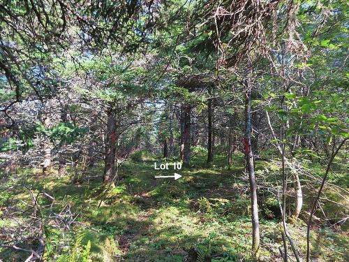 Lot 10 Hwy 316 (Grovers Point), Cole Harbour, NS 