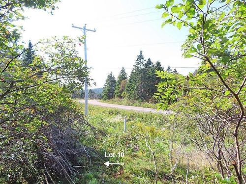 Lot 10 Hwy 316 (Grovers Point), Cole Harbour, NS 