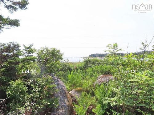 Lot 14 Hwy 316 (English Harbour), Cole Harbour, NS 