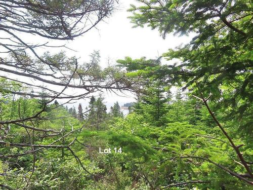 Lot 14 Hwy 316 (English Harbour), Cole Harbour, NS 