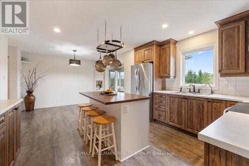 807 St Felix Road, Clarence-Rockland, ON - Indoor Photo Showing Kitchen With Upgraded Kitchen