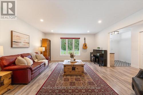 807 St Felix Road, Clarence-Rockland, ON - Indoor Photo Showing Living Room