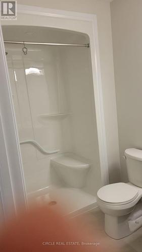 119 Alicia Crescent, Thorold, ON - Indoor Photo Showing Bathroom