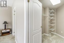 Walk in closet featuring light colored carpet and vaulted ceiling - 