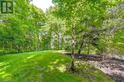 View of yard - 77 Governors Road Unit# 501, Dundas, ON - Outdoor