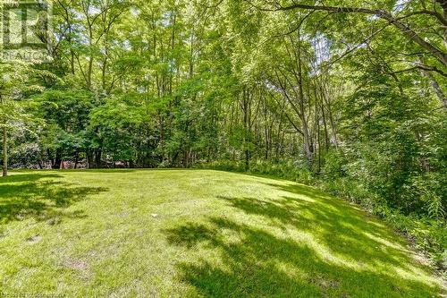 View of yard - 77 Governors Road Unit# 501, Dundas, ON - Outdoor