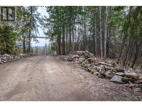 40 Lidstone Road, Salmon Arm, BC - Outdoor With View