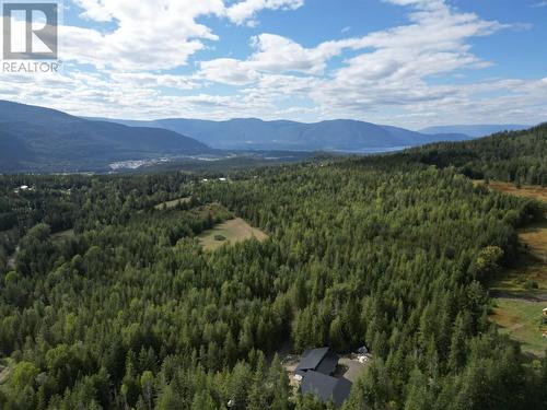 40 Lidstone Road, Salmon Arm, BC - Outdoor With View