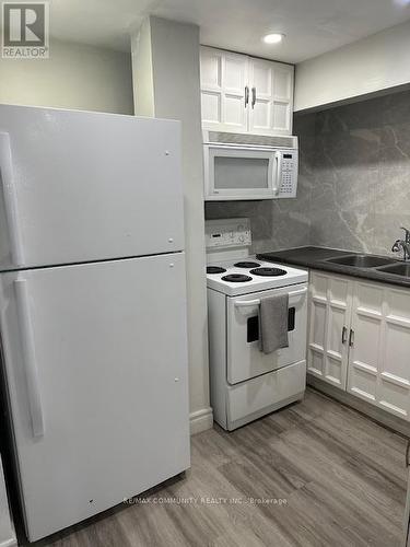 Bsmt - 341 Regal Briar Street, Whitby, ON - Indoor Photo Showing Kitchen With Double Sink