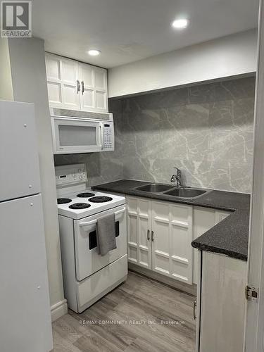 Bsmt - 341 Regal Briar Street, Whitby, ON - Indoor Photo Showing Kitchen With Double Sink