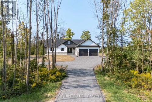 3902 Shannonville Road, Tweed, ON - Outdoor