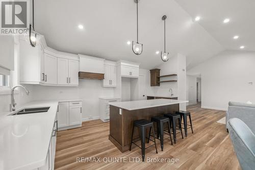 3902 Shannonville Road, Tweed, ON - Indoor Photo Showing Kitchen With Double Sink With Upgraded Kitchen