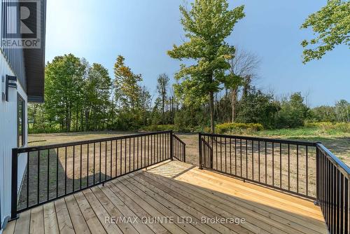 3902 Shannonville Road, Tweed, ON - Outdoor