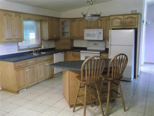 39084 Pr 244 Road, Notre Dame De Lourdes, MB - Indoor Photo Showing Kitchen With Double Sink