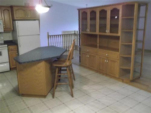 39084 Pr 244 Road, Notre Dame De Lourdes, MB - Indoor Photo Showing Kitchen