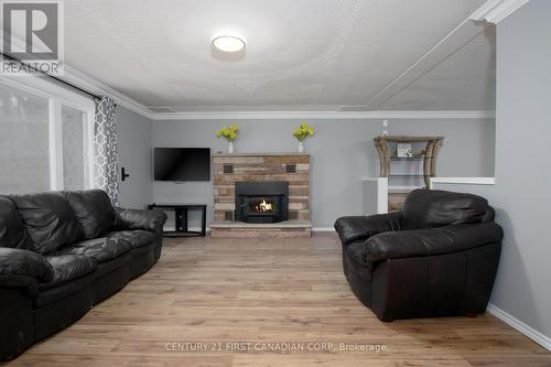 1835 Mark Settlement Drive, North Middlesex (Parkhill), ON - Indoor Photo Showing Living Room With Fireplace