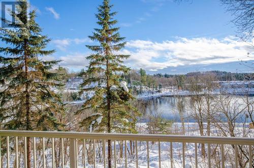 201 - 24 Ontario Street, Bracebridge (Macaulay), ON - Outdoor With Balcony With View