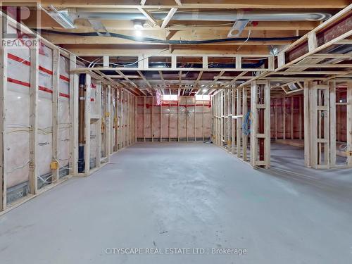 844 O'Reilly Crescent, Shelburne, ON - Indoor Photo Showing Basement