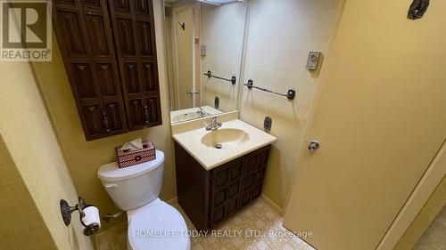 Bmnt - 23 Shaddock Crescent, Toronto, ON - Indoor Photo Showing Bathroom